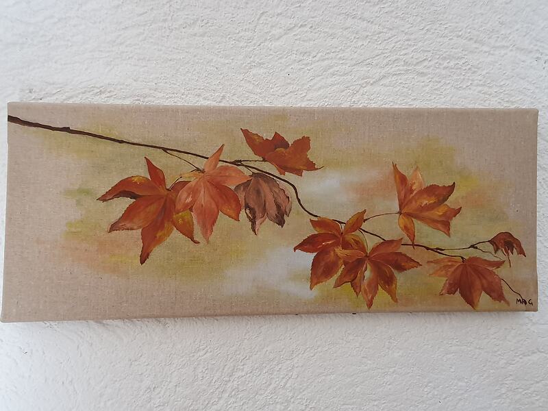 50x20<br>45€
