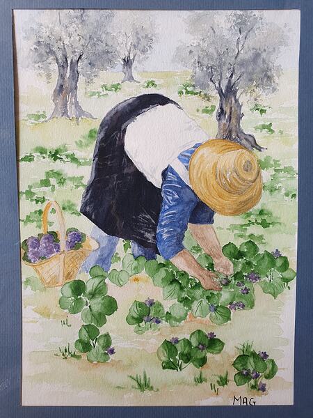 30x22<br>20€