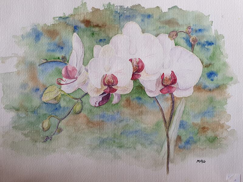 40x30<br>35€