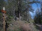 Roure par GR5, Forêt de la Fracha, Rougios, Refuge de Longon, -