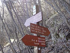 Le Bois Noir, La Madonina, Collet du Mont Agu, Breil-sur-Roya - GR52A, Forêt du Mont Agu, Baoussoun, Pont de Baoussoun, Saorge - GR52A