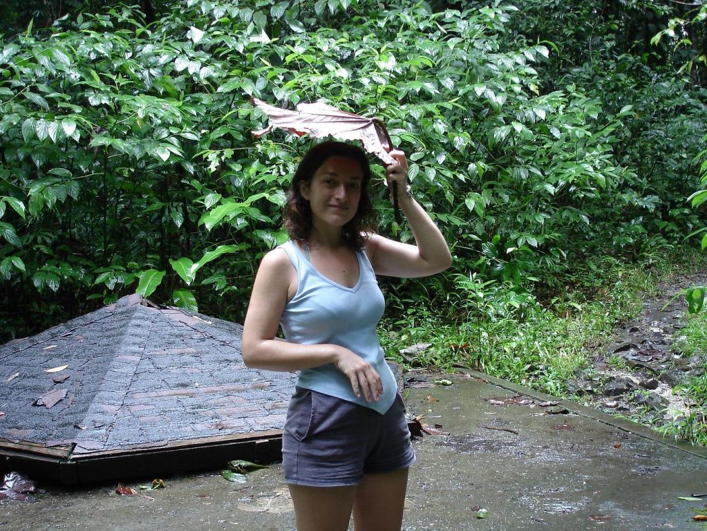 Parapluie tropical